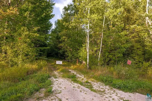 XXX Crane Lake Rd, Orr, MN 55771