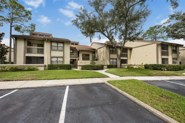 210 WOODLAKE WYNDE, Oldsmar, FL 34677