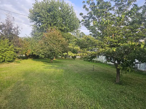 211 W Liberty ST, Joy, IL 61260
