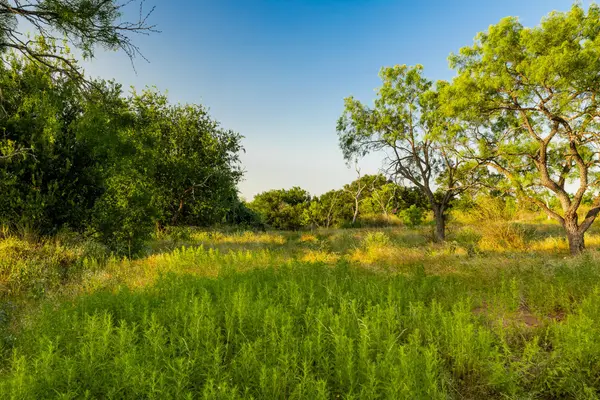 TBD County Road 102 RD, Llano, TX 78643