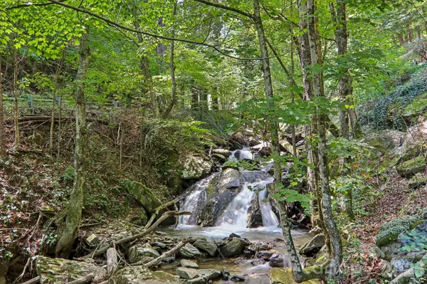 16 Wits End WAY, Waynesville, NC 28785