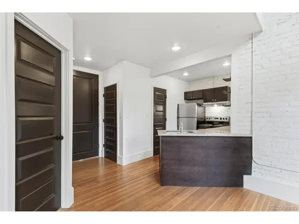 1307 N Franklin, Denver, CO 80218