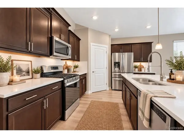14032 Shasta Daisy, Parker, CO 80134