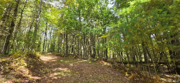 Lot 6.17 State Rt 97, Narrowsburg, NY 12764
