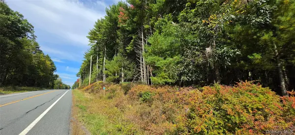 Lot 6.17 State Rt 97, Narrowsburg, NY 12764