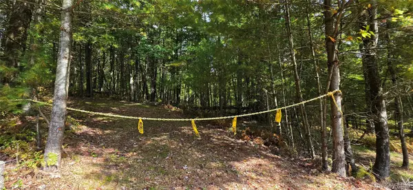 Lot 6.17 State Rt 97, Narrowsburg, NY 12764