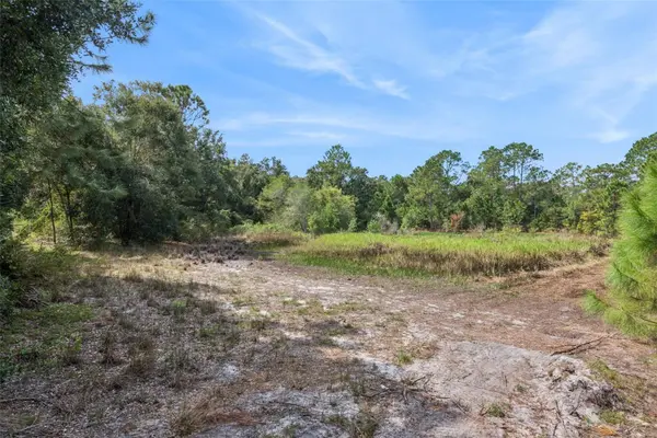BETHUNE ST, Leesburg, FL 34788