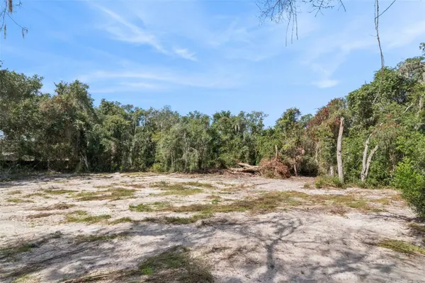 BETHUNE ST, Leesburg, FL 34788