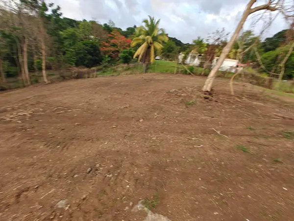 PR-3 HACIENDAS DE CANOVANAS #LOT 24, Canovanas, PR 00729