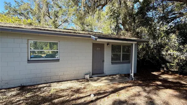 213 DR MARTIN LUTHER KING JR AVE, Wildwood, FL 34785