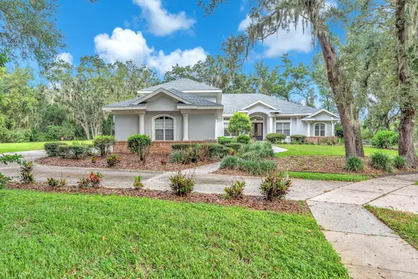 6034 HAMMOCK HILL AVE, Lithia, FL 33547