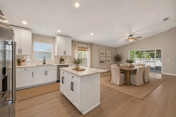 5209 ABBEY PARK AVE, Tampa, FL 33647