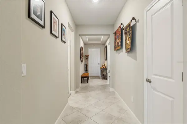 8888 SHADYSIDE LN, Land O Lakes, FL 34637
