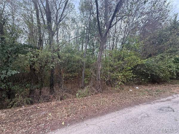 123 Brice ST, Lebanon, MO 65536