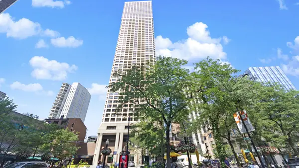 1030 N STATE ST #2GH, Chicago, IL 60610