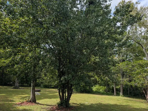 341 Vermont Ave, Oak Ridge, TN 37830