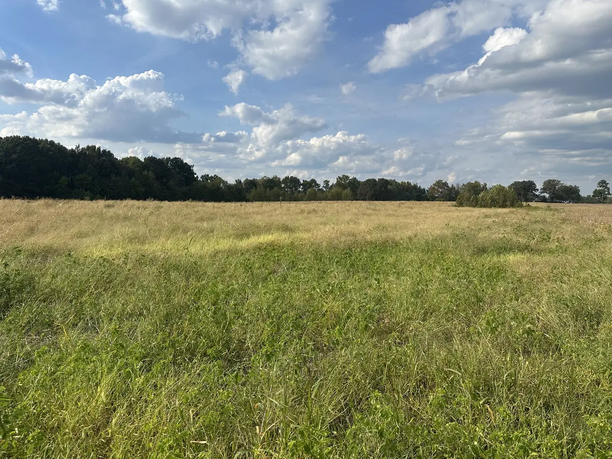 0 Pendergrass Rd, Flintville, TN 37335