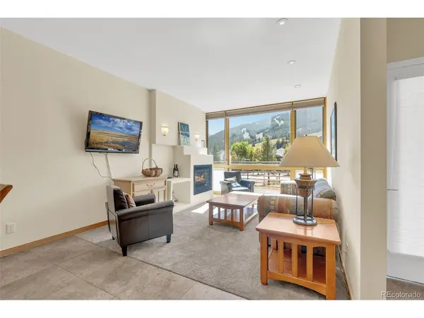 105 Beeler #9, Frisco, CO 80443