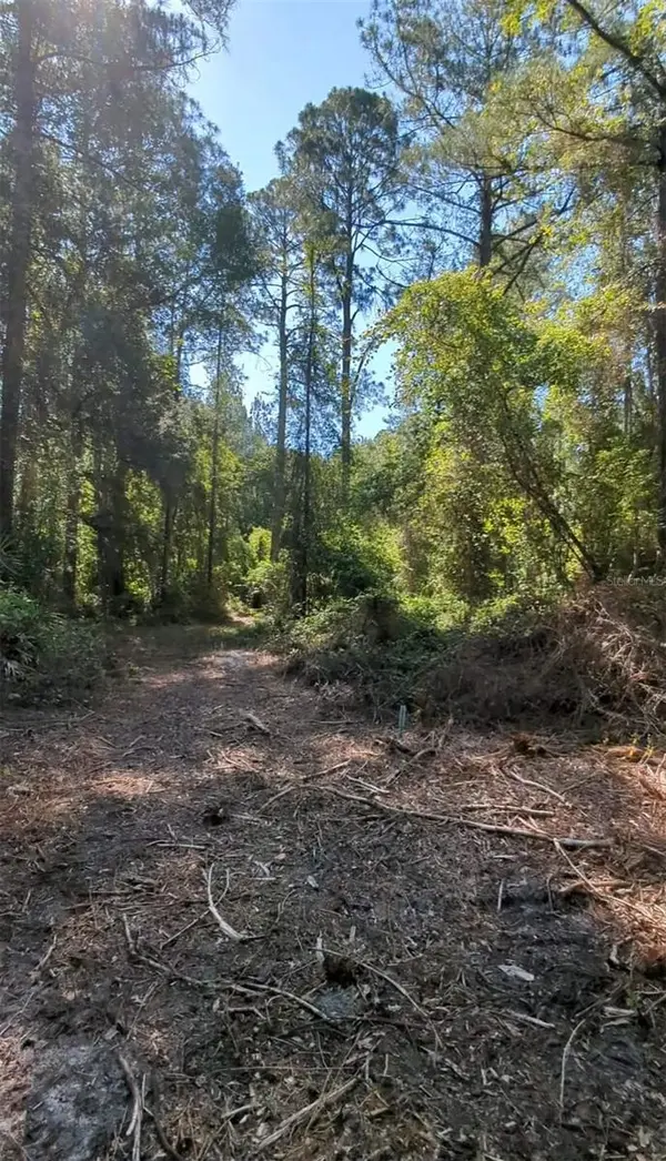 TBD SW 126TH AVE, Lake Butler, FL 32054