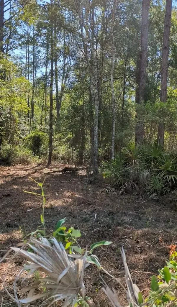 TBD SW 126TH AVE, Lake Butler, FL 32054