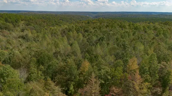 0 Mayfield Divide Rd, Centerville, TN 37033