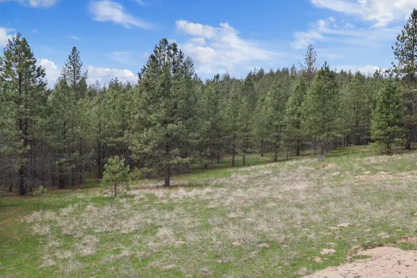 NKA Lower Weaver WAY #Lot 1 of Lot 11, Deer Park, WA 99006