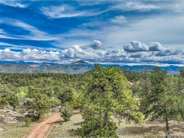 82 Ute, Florissant, CO 80816