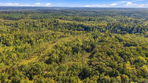 0 Birdsong Road, Holladay, TN 38341