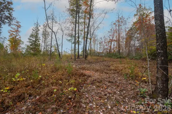 269 Mooseheart RD, Nebo, NC 28761