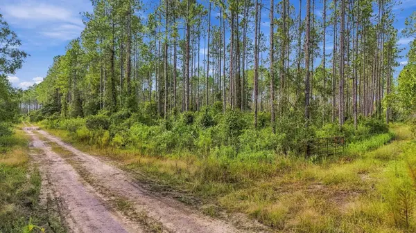 0 DOC SMITH RD, Bronson, FL 32621