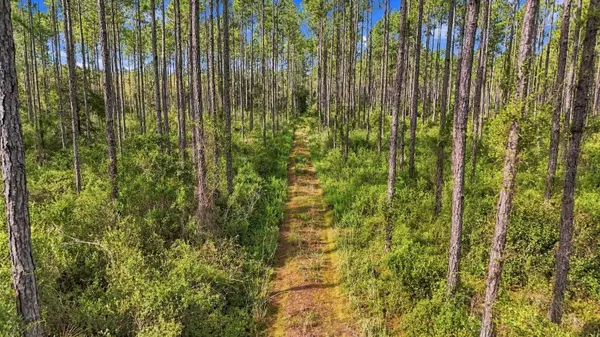 0 DOC SMITH RD, Bronson, FL 32621