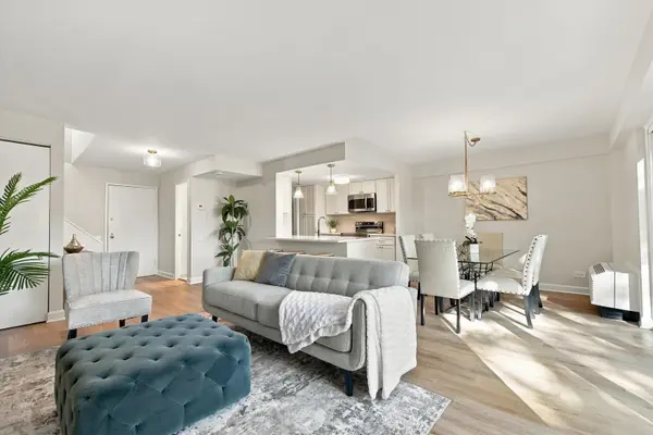 1169 S Plymouth CT #105, Chicago, IL 60605