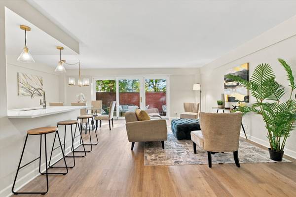 1169 S Plymouth CT #105, Chicago, IL 60605