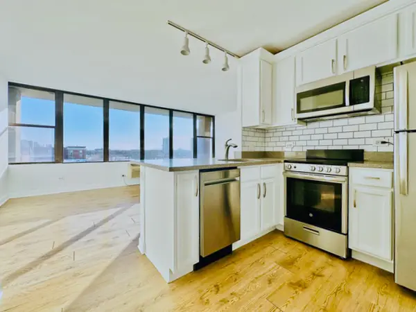 345 E Eastgate PL #604, Chicago, IL 60616