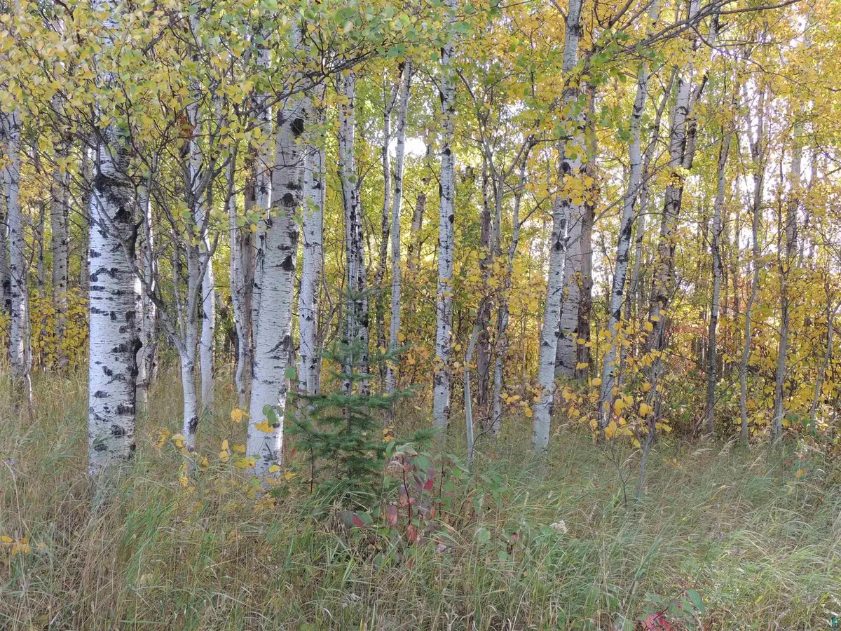XB Brandon Ln, Grand Marais, MN 55604