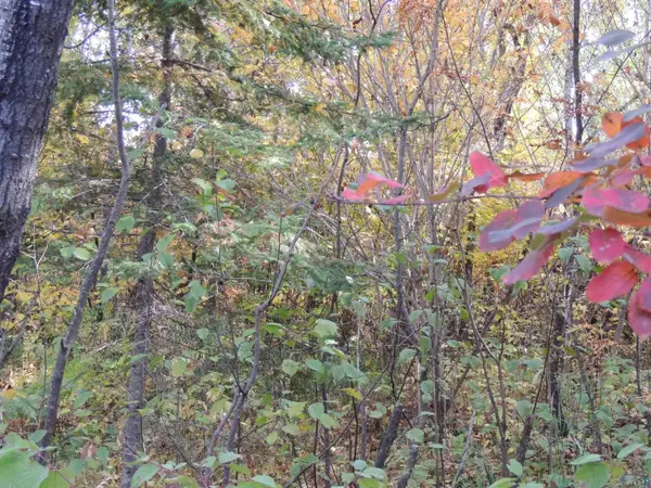 XB Brandon Ln, Grand Marais, MN 55604