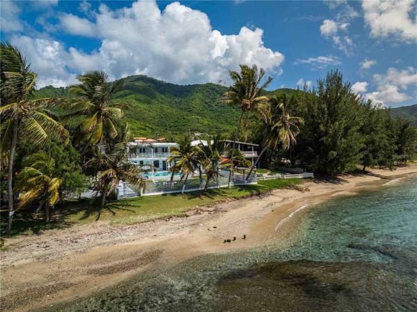 carr 3 KM 114 4, Patillas, PR 00723