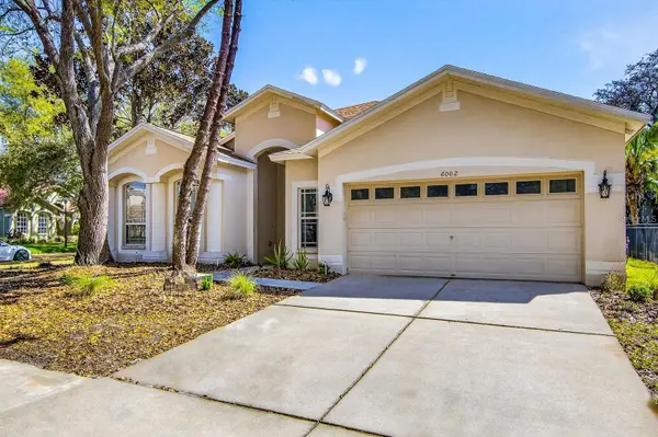 6002 MARTINGLADE PL, Lithia, FL 33547