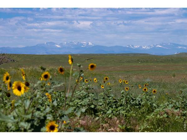 4 TBD County Road 21, Carr, CO 80612