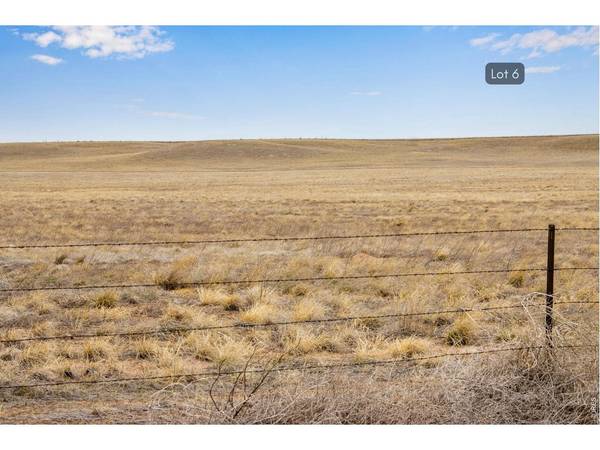 6 TBD County Road 122, Carr, CO 80612