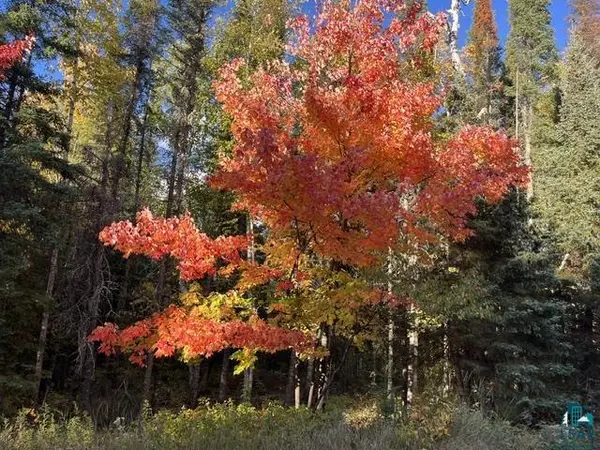 TBD Lost Lake Rd, Tower, MN 55790