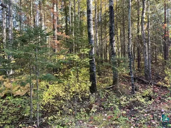 TBD S Loon Lake Rd, Aurora, MN 55705