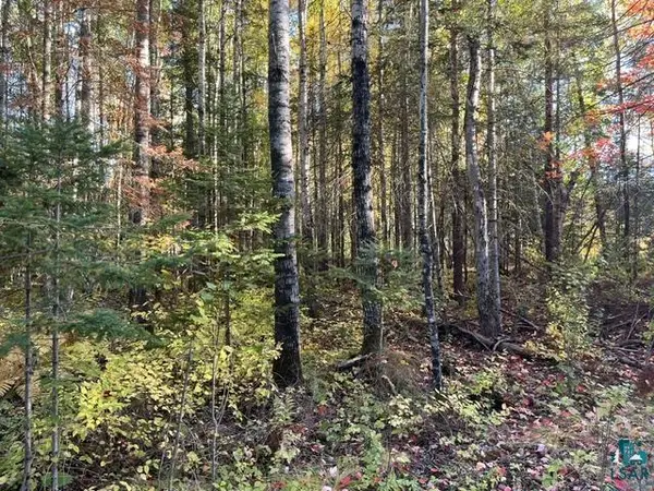 TBD S Loon Lake Rd, Aurora, MN 55705