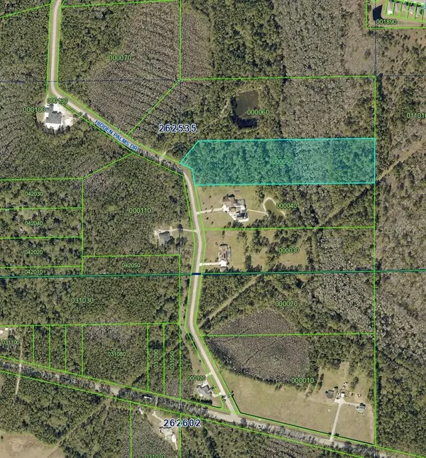 510 HIDDEN PALMS DR, Davenport, FL 33897