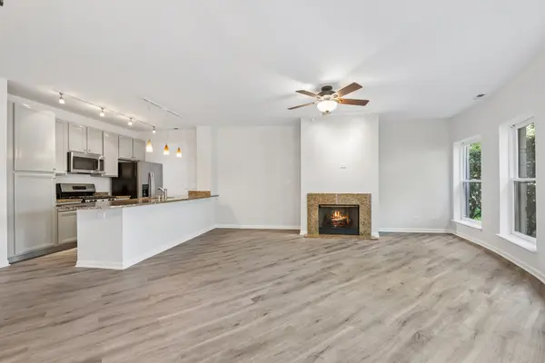 1450 S HALSTED ST #1A, Chicago, IL 60607