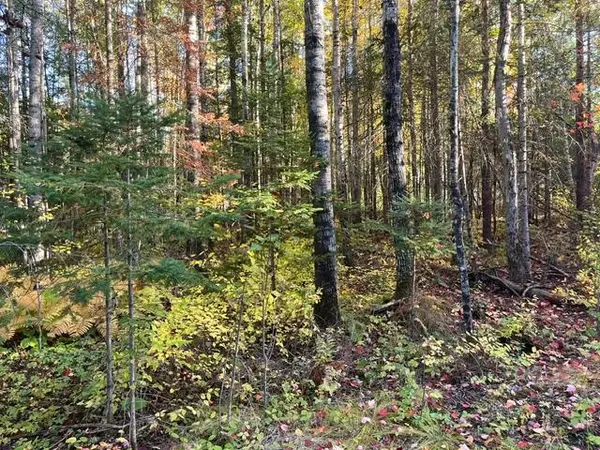 TBD S Loon Lake Rd., Aurora, MN 55705