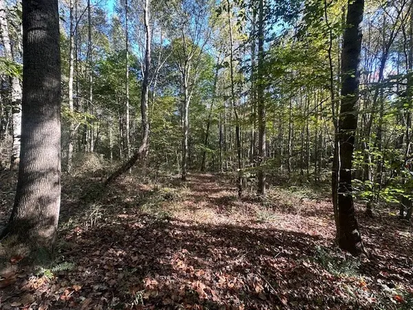 534 Whitney Branch Rd, Springville, TN 38256