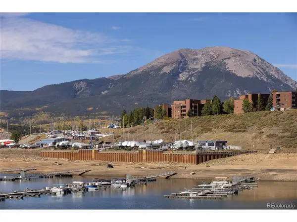 614 Tenderfoot #22, Dillon, CO 80435