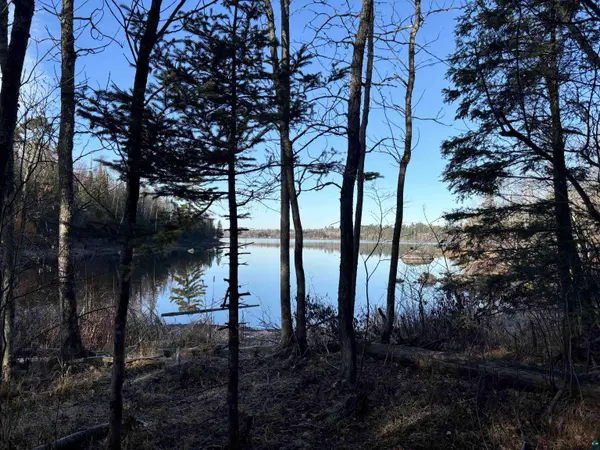 XXX9 Powerhouse Trail, Ely, MN 55731