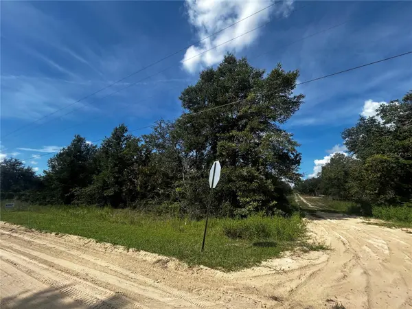 00 NE 115TH AVE, Williston, FL 32696
